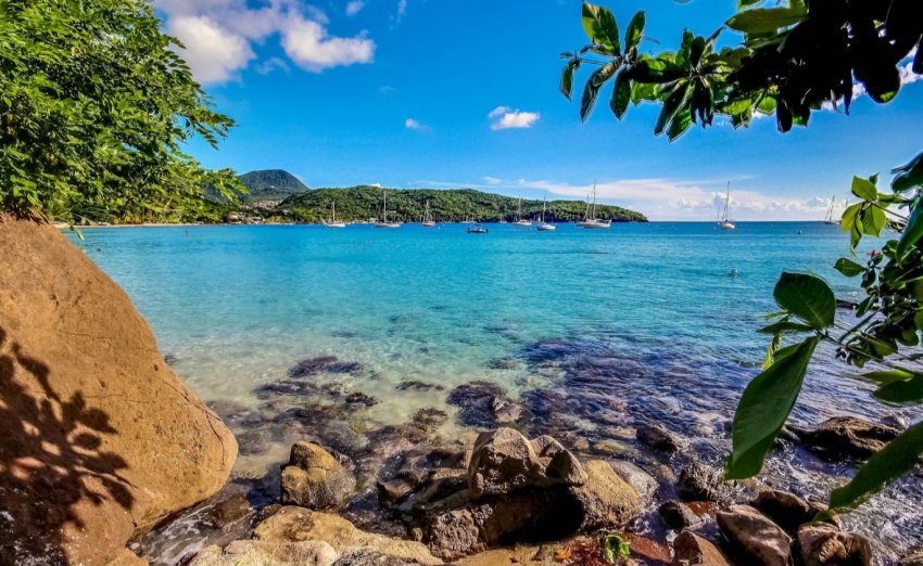 Опасный отдых: райские пляжи отравлены пестицидами