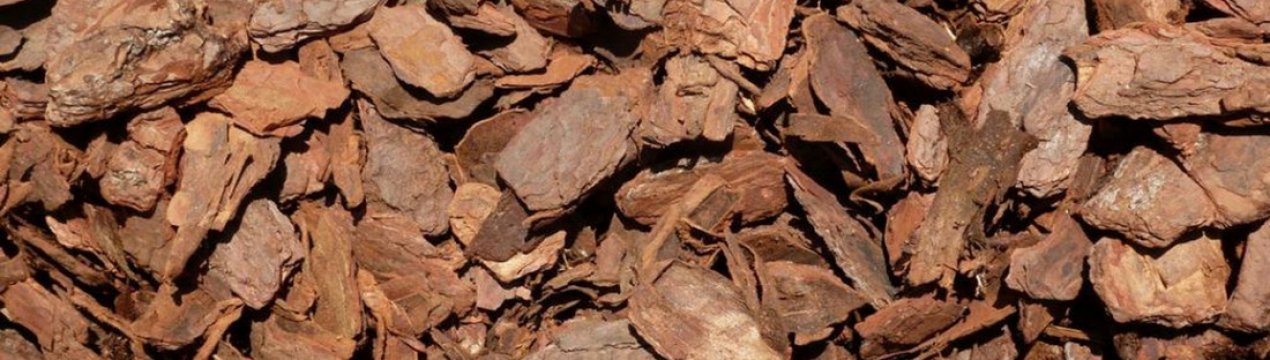 Мульчирование корой как правильно сделать. Смотреть фото Мульчирование корой как правильно сделать. Смотреть картинку Мульчирование корой как правильно сделать. Картинка про Мульчирование корой как правильно сделать. Фото Мульчирование корой как правильно сделать