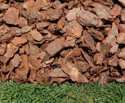 Мульча из сосновой коры, применение в саду и огороде