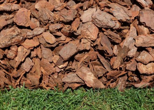 Мульча из сосновой коры, применение в саду и огороде