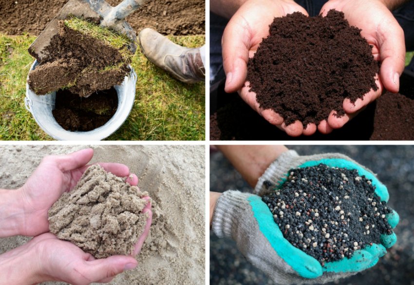 Почвенная смесь Почвенная смесь