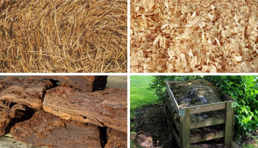 Мульчирование и рыхление почвы