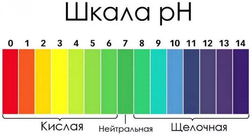 Шкала кислотности почвы Шкала кислотности почвы