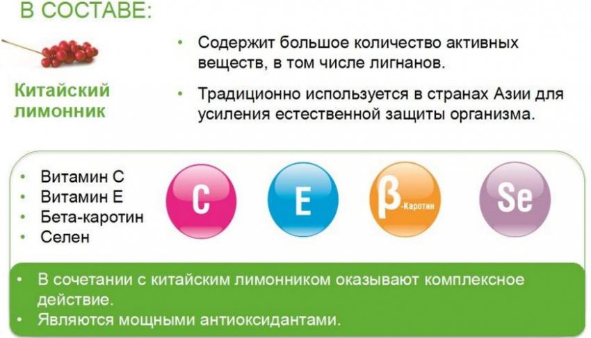 Составом из активных веществ в. Шизандра Гербалайф. Шизандра Эдванс Гербалайф. Шизандра Гербалайф состав. Хим состав лимонника китайского.