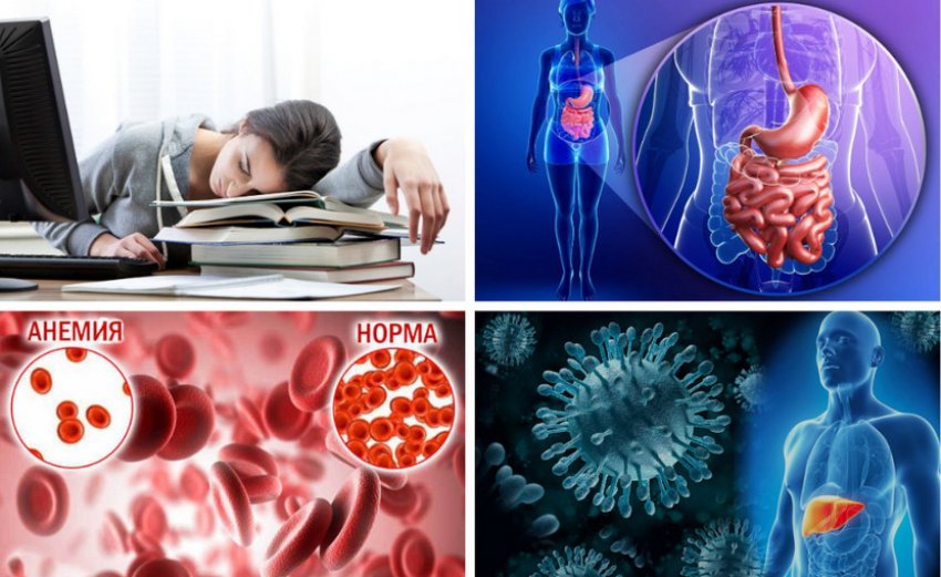 Показания к употреблению лимонника китайского