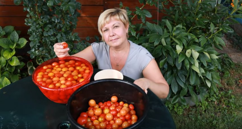 Рецепт приготування Рецепт приготування