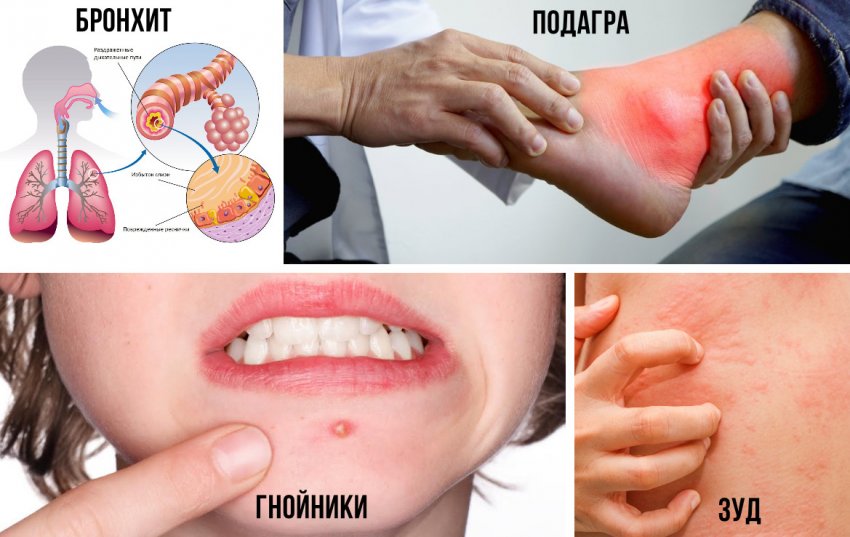 морошка что с ней делать после сбора урожая. Смотреть фото морошка что с ней делать после сбора урожая. Смотреть картинку морошка что с ней делать после сбора урожая. Картинка про морошка что с ней делать после сбора урожая. Фото морошка что с ней делать после сбора урожая