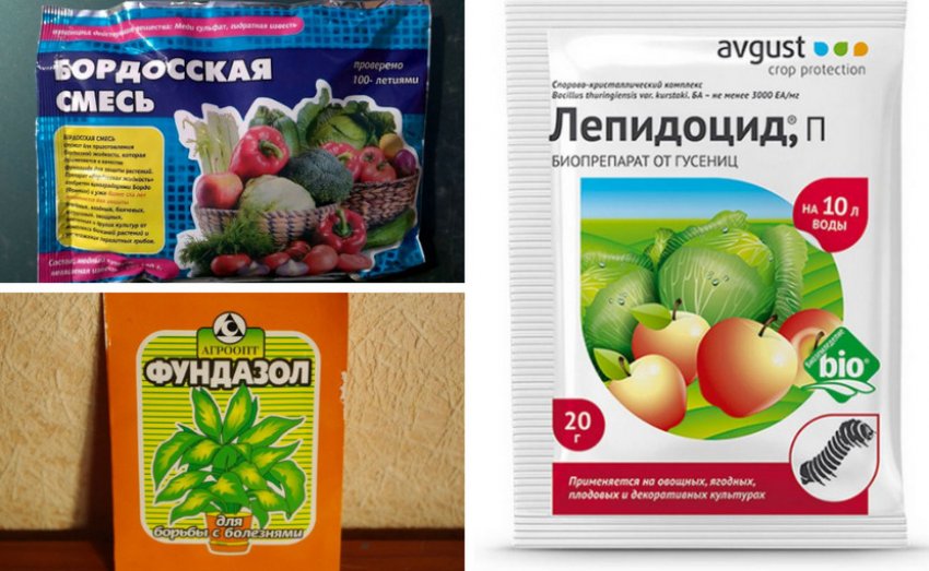 Препараты для борьбы с болезнями и вредителями