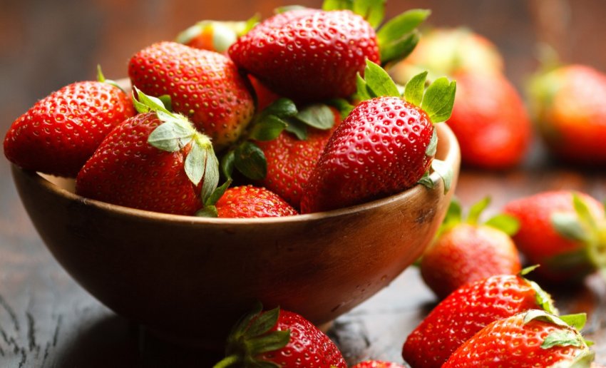 На Ставрополье завершили строительство теплицы по выращиванию клубники