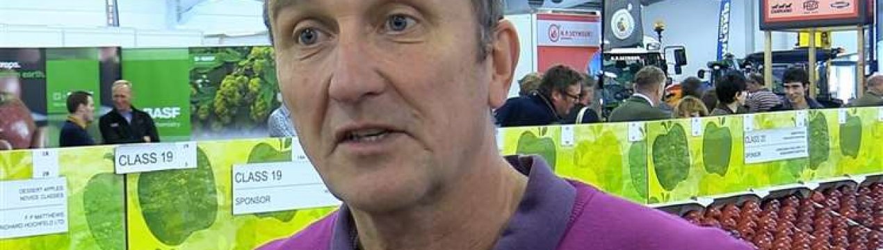 Британский фермер выращивает груши, которые помогают от похмелья