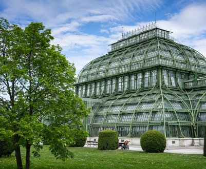 Теплица за 30 миллонов долларов строится в Индии