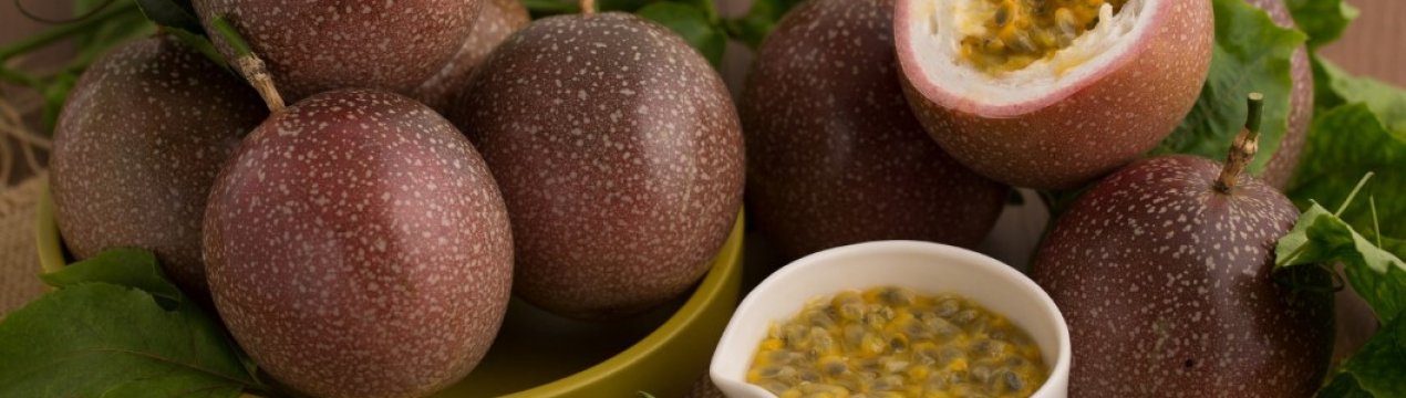 Вьетнамские фермеры успешно выращивают экзотические фрукты