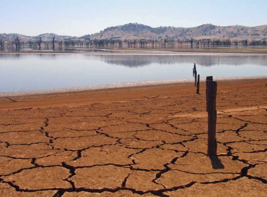 Засуха в Южной Африке пожирает скот и урожай