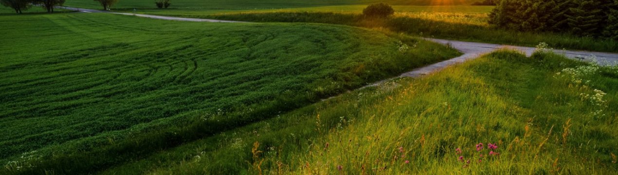 Заброшені землі Подмосков'я вводяться в сільськогосподарський обіг