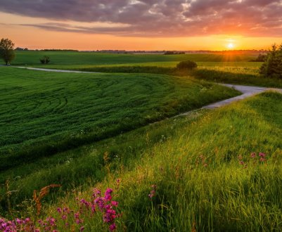Заброшені землі Подмосков'я вводяться в сільськогосподарський обіг
