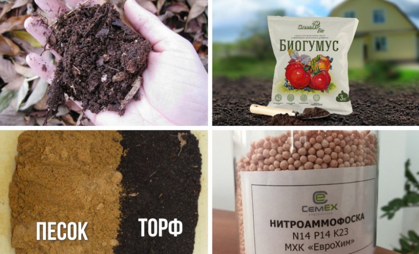 Компоненты смеси для ели Компоненты смеси для ели