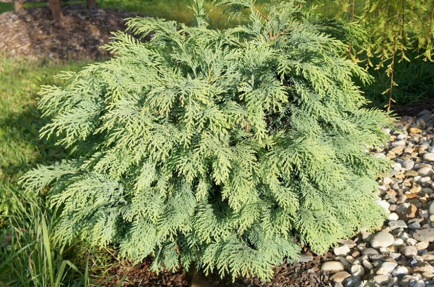 Міні Глобус Міні Глобус