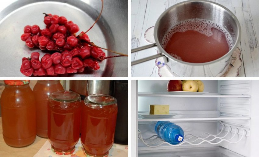 Приготування соку з лимонника Приготування соку з лимонника