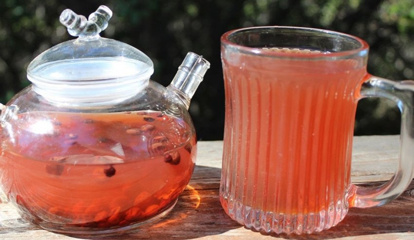 Чай з лимонника Чай з лимонника