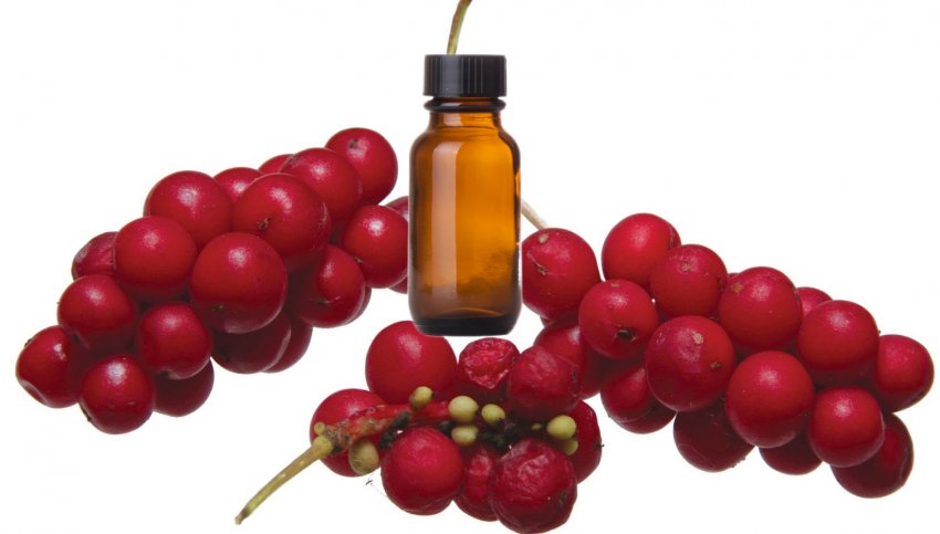 Соняшникова олія з лимонника Соняшникова олія з лимонника