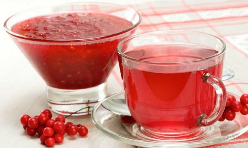 Застосування ягід лимонника Застосування ягід лимонника