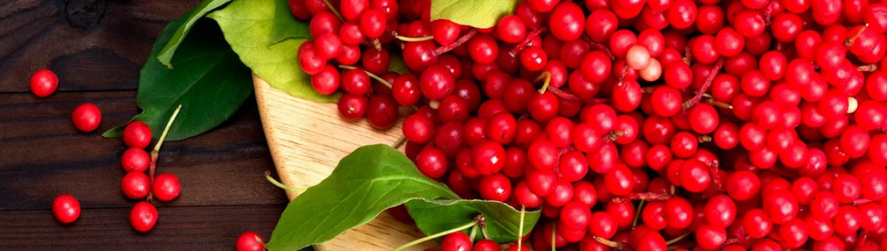 Користь і шкода далекосхідної китайської лимонки