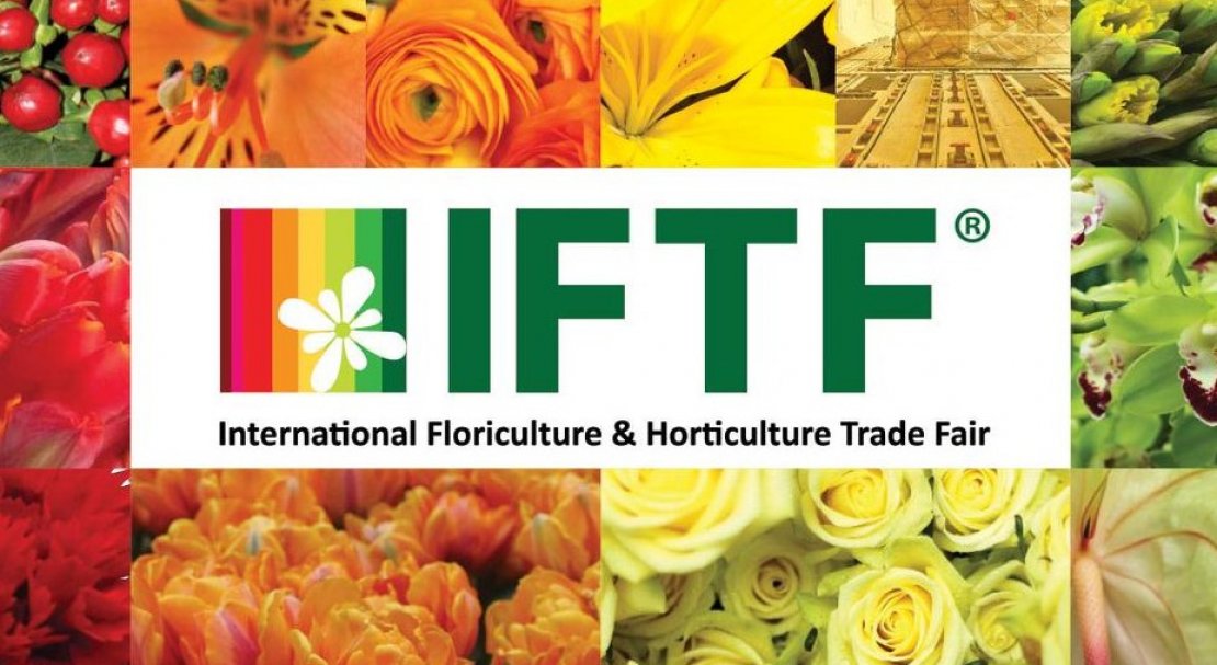 IFTF 2019