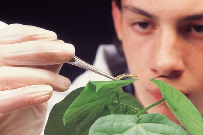 Syngenta інвестує в сільське господарство 2 мільярди доларів Syngenta інвестує в сільське господарство 2 мільярди доларів