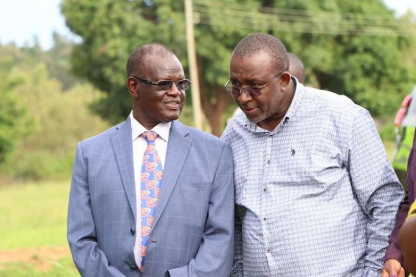 Правительство Кенії роздає фермерам безкоштовні саджанці Правительство Кенії роздає фермерам безкоштовні саджанці