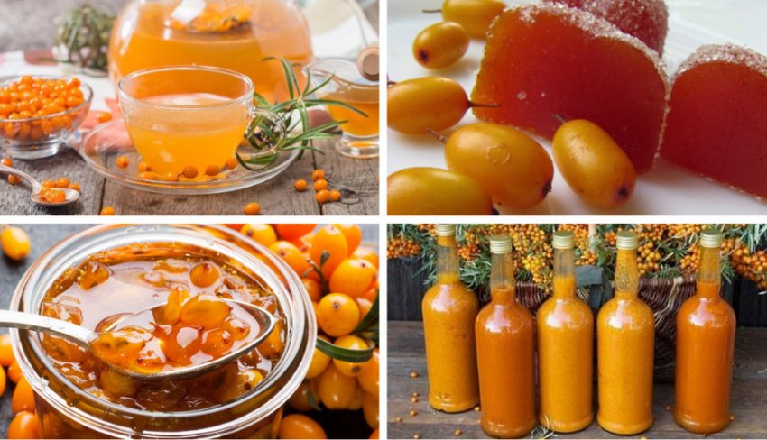 Застосування обліпихи в кулінарії Застосування обліпихи в кулінарії