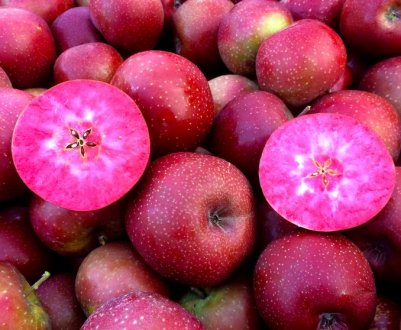 Яблука «з сюрпризом» вивели в Італії