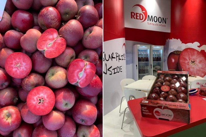 Яблука «с відкриттям» вивели в Італії Яблука «с відкриттям» вивели в Італії