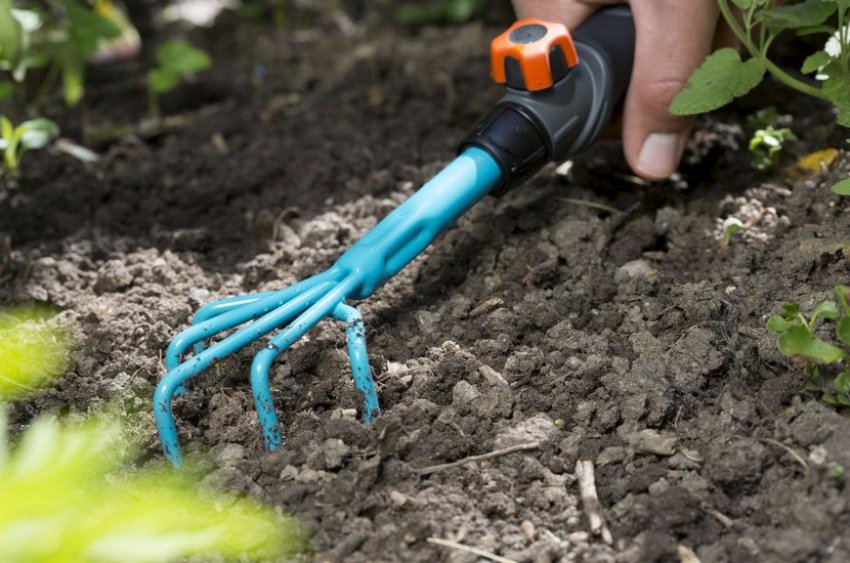 Рыхление почвы