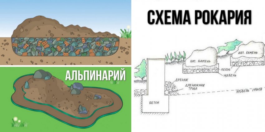 Пристрій альпінарію та рокарію Пристрій альпінарію та рокарію