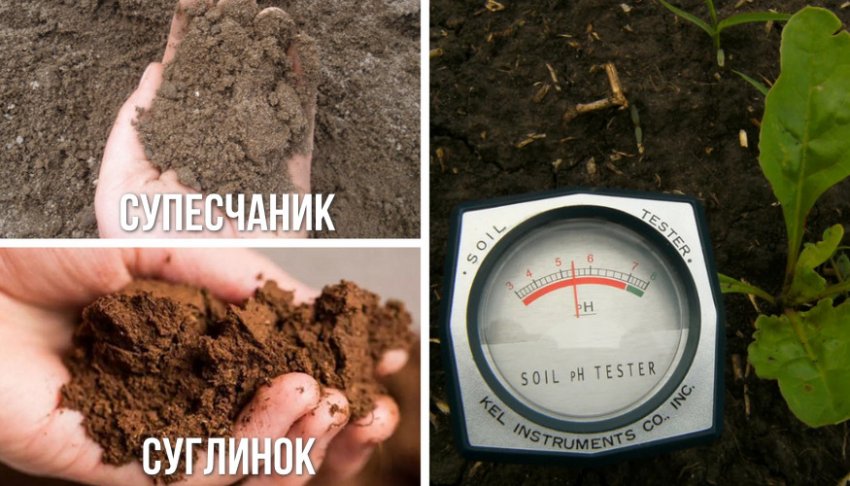 Вимоги до ґрунту Вимоги до ґрунту