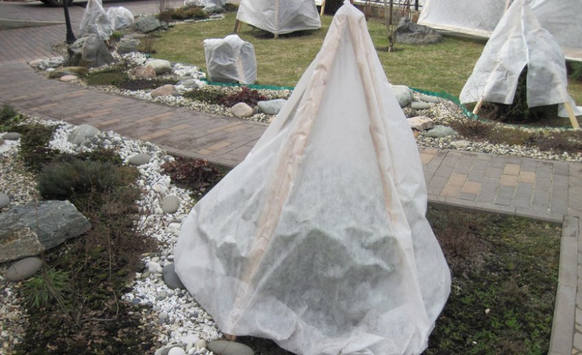 Укриття яли на зиму Укриття яли на зиму