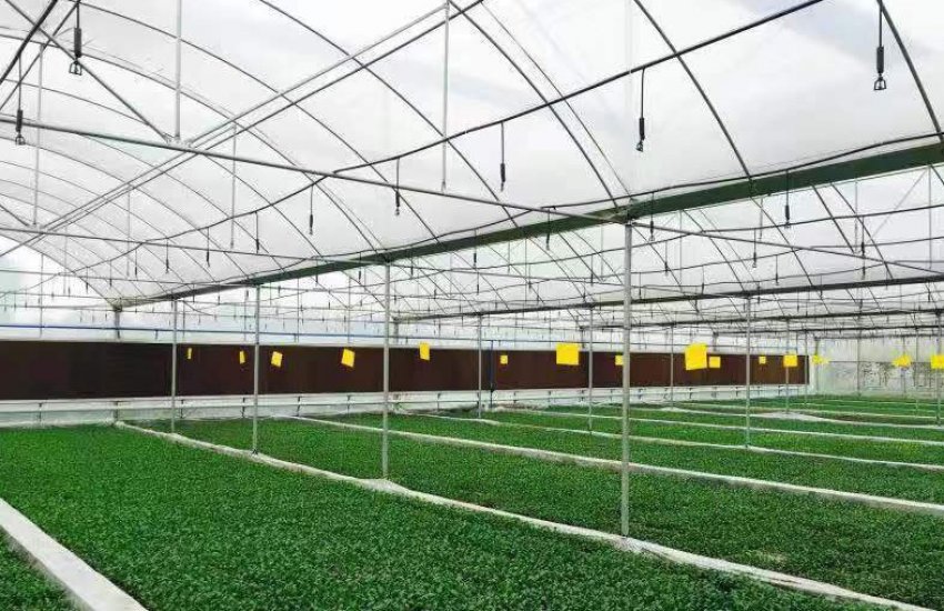 Полив одним кліком миші використовує тепличник з Китаю Полив одним кліком миші використовує тепличник з Китаю