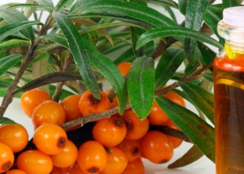 Масло обліпихи від зморшок