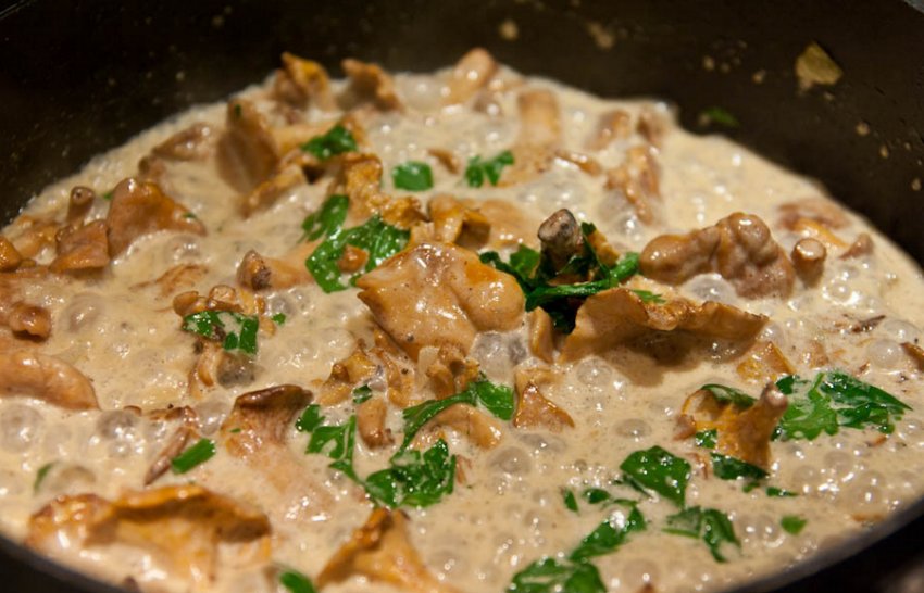 Свинина з лисичками Свинина з лисичками