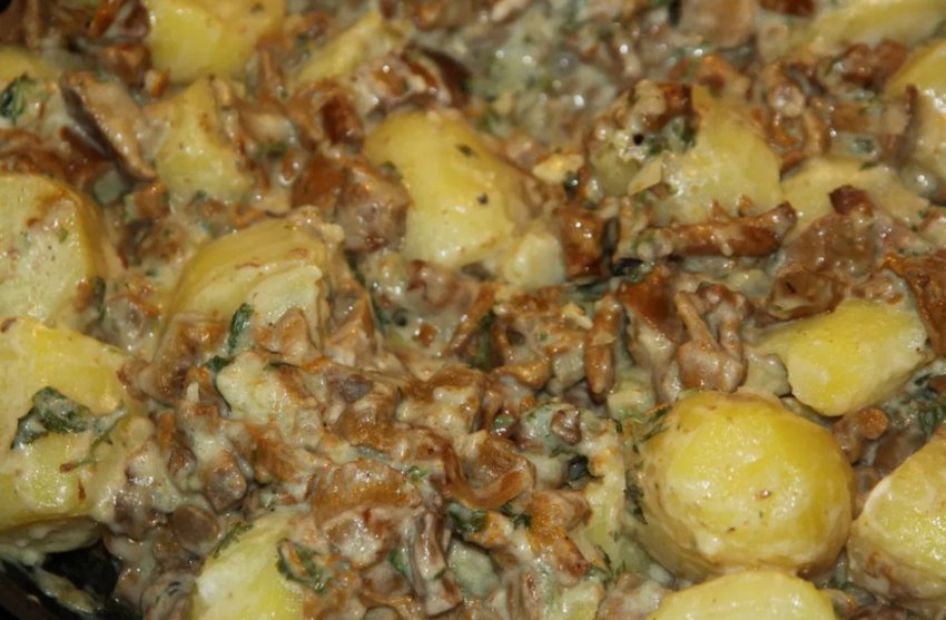 Свинина з лисичками и картошкой Свинина з лисичками и картошкой