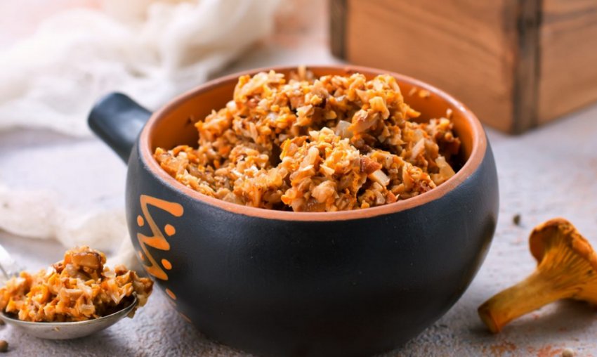 Лисички з гречкою Лисички з гречкою