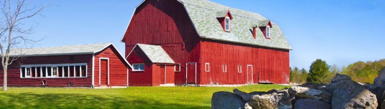 У вересні кількість банкрутств американських ферм зросла на 24 відсотки