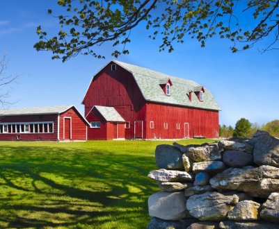 У вересні кількість банкрутств американських ферм зросла на 24 відсотки