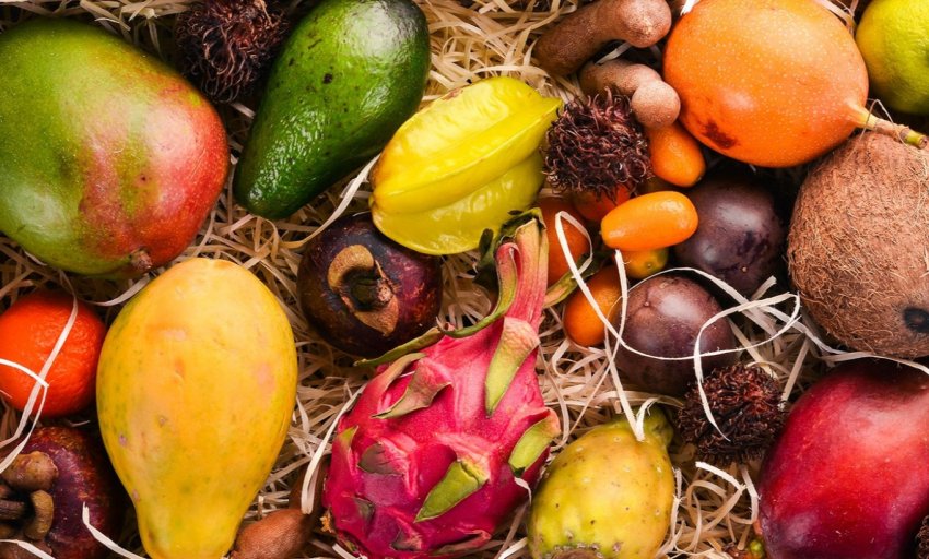 У сицилійських теплицях дозрівають екзотичні фрукти У сицилійських теплицях дозрівають екзотичні фрукти