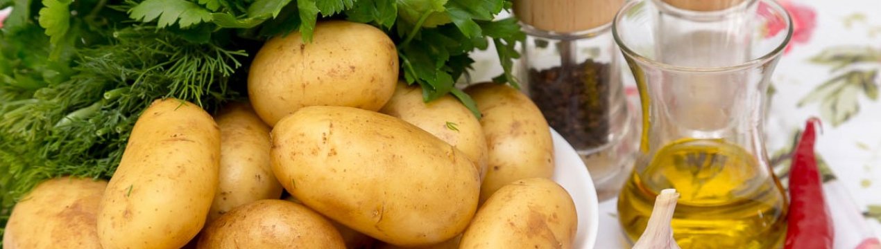 У Росії виявили сорт картоплі, на якому не може жити колорадський жук