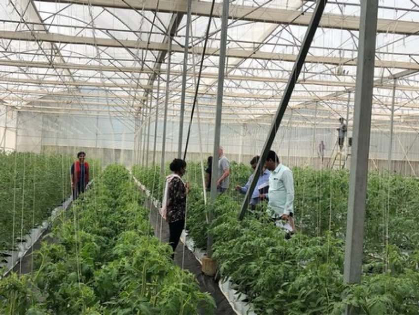 В Індії організували індивідуальну програму навчання для фермерів В Індії організували індивідуальну програму навчання для фермерів