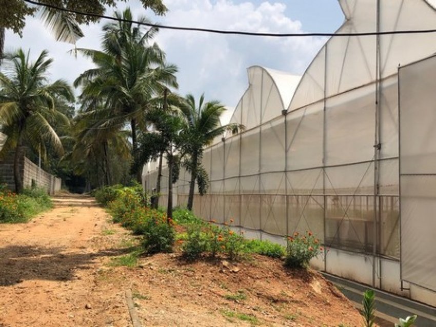 В Індії організували індивідуальну програму навчання для фермерів В Індії організували індивідуальну програму навчання для фермерів