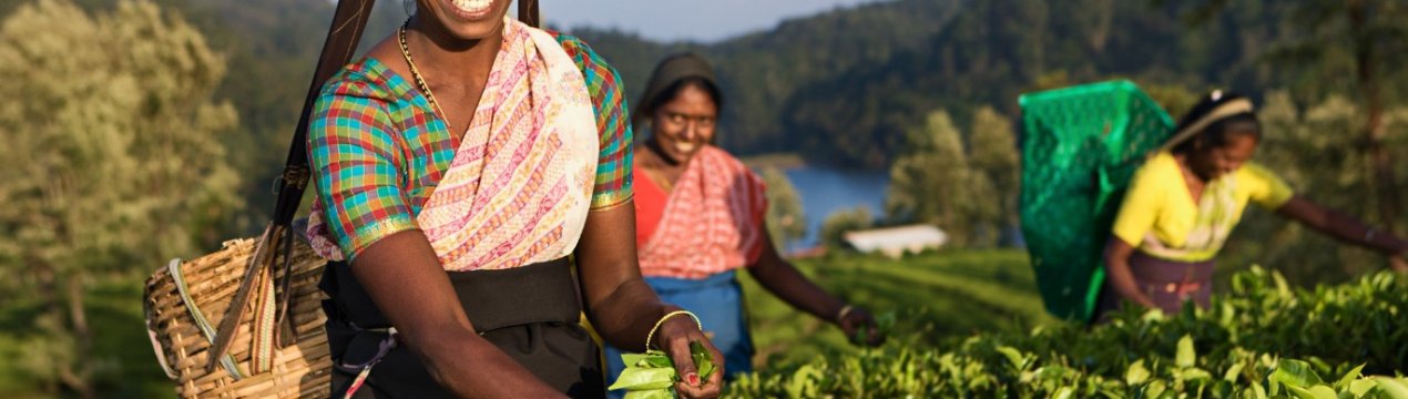 В Індії організували індивідуальну програму навчання для фермерів