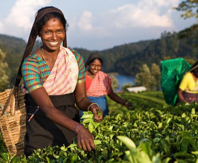 В Індії організували індивідуальну програму навчання для фермерів