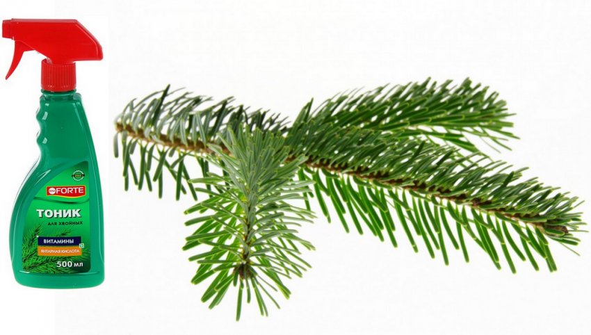 Бона Форте для пихти